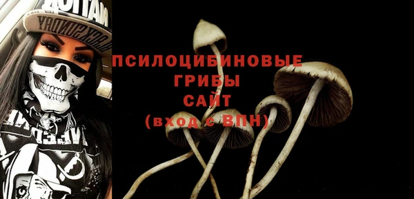 гашик Балахна