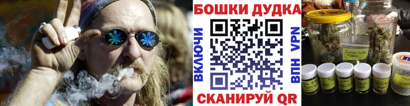 Конопля AK-47  где купить   Чекалин 